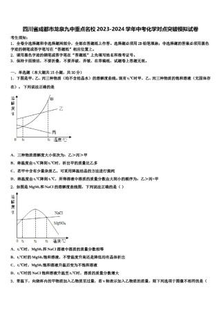 四川省成都市龙泉九中重点名校2023-2024学年中考化学对点突破模拟试卷含解析.doc