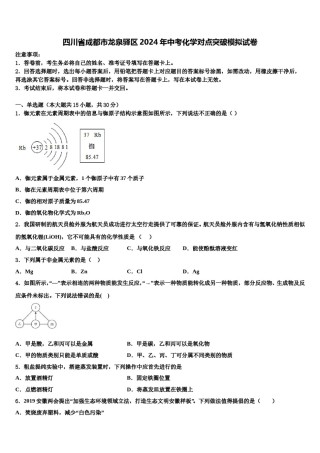 四川省成都市龙泉驿区2024年中考化学对点突破模拟试卷含解析.doc