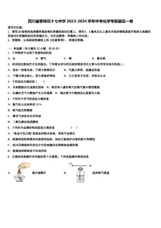 四川省攀枝花十七中学2023-2024学年中考化学考前最后一卷含解析.doc