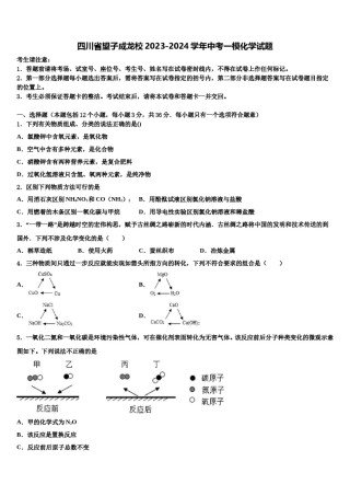 四川省望子成龙校2023-2024学年中考一模化学试题含解析.doc