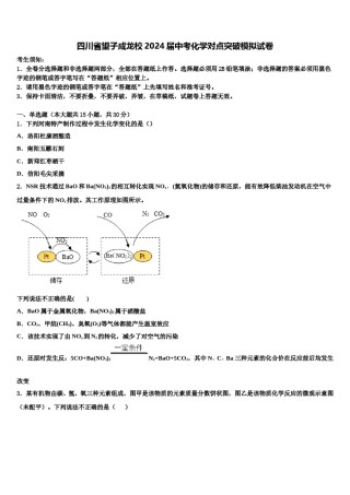 四川省望子成龙校2024届中考化学对点突破模拟试卷含解析.doc