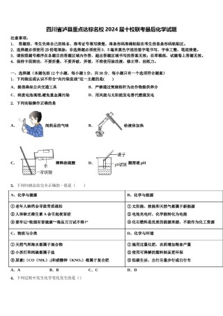 四川省泸县重点达标名校2024届十校联考最后化学试题含解析.doc