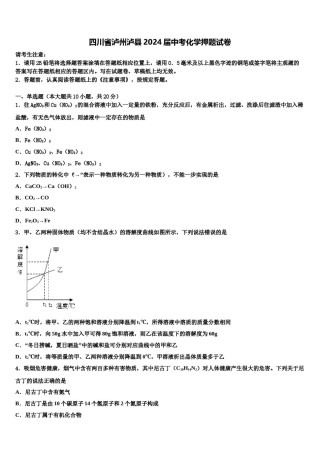 四川省泸州泸县2024届中考化学押题试卷含解析.doc