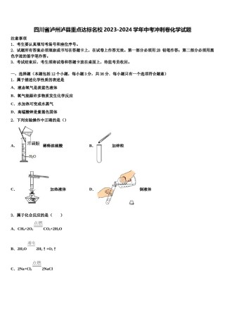 四川省泸州泸县重点达标名校2023-2024学年中考冲刺卷化学试题含解析.doc