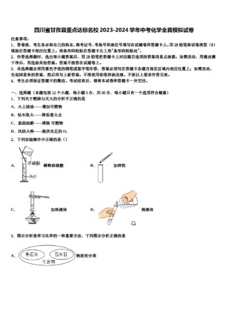 四川省甘孜县重点达标名校2023-2024学年中考化学全真模拟试卷含解析.doc