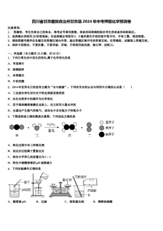 四川省甘孜藏族自治州甘孜县2024年中考押题化学预测卷含解析.doc