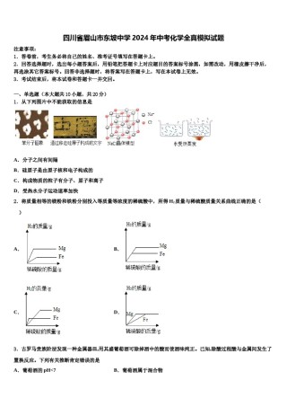 四川省眉山市东坡中学2024年中考化学全真模拟试题含解析.doc