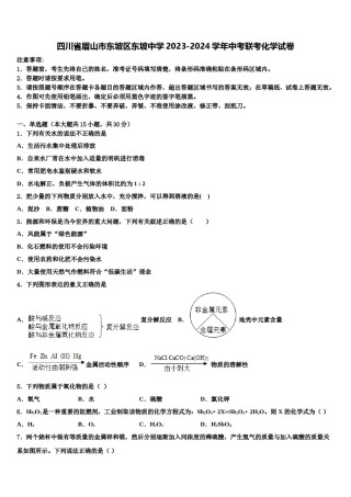 四川省眉山市东坡区东坡中学2023-2024学年中考联考化学试卷含解析.doc