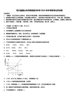 四川省眉山市丹棱县重点中学2024年中考联考化学试卷含解析.doc