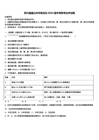 四川省眉山市市级名校2024届中考联考化学试题含解析.doc