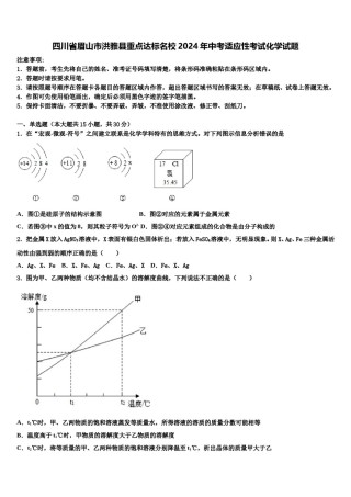 四川省眉山市洪雅县重点达标名校2024年中考适应性考试化学试题含解析.doc