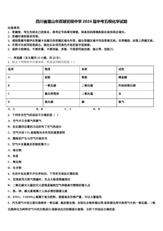 四川省眉山市百坡初级中学2024届中考五模化学试题含解析.doc