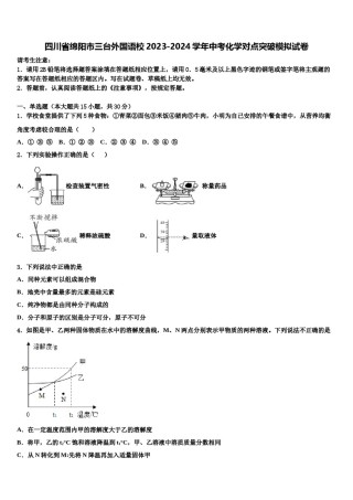 四川省绵阳市三台外国语校2023-2024学年中考化学对点突破模拟试卷含解析.doc
