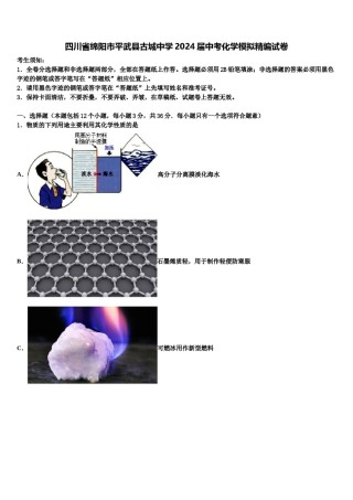 四川省绵阳市平武县古城中学2024届中考化学模拟精编试卷含解析.doc