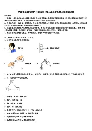 四川省绵阳市绵阳外国语校2024年中考化学全真模拟试题含解析.doc