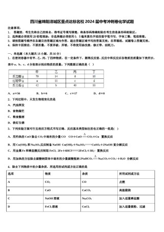 四川省绵阳涪城区重点达标名校2024届中考冲刺卷化学试题含解析.doc