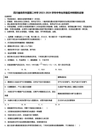四川省自贡市富顺二中学2023-2024学年中考化学最后冲刺模拟试卷含解析.doc
