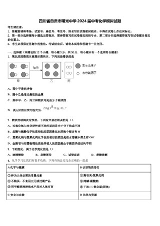 四川省自贡市曙光中学2024届中考化学模拟试题含解析.doc