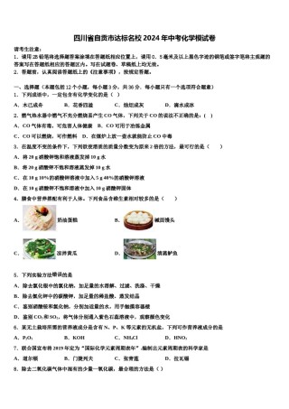四川省自贡市达标名校2024年中考化学模试卷含解析.doc