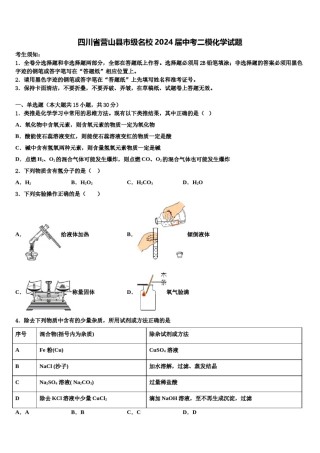 四川省营山县市级名校2024届中考二模化学试题含解析.doc