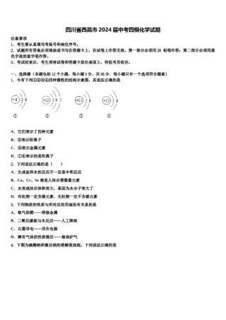 四川省西昌市2024届中考四模化学试题含解析.doc