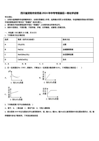 四川省资阳市安岳县2024年中考考前最后一卷化学试卷含解析.doc