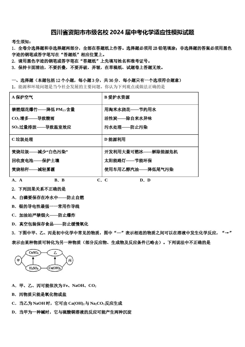 四川省资阳市市级名校2024届中考化学适应性模拟试题含解析.doc_第1页