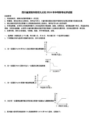 四川省资阳市桂花九义校2024年中考联考化学试题含解析.doc