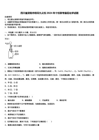 四川省资阳市桂花九义校2024年十校联考最后化学试题含解析.doc