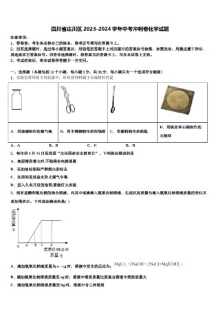 四川省达川区2023-2024学年中考冲刺卷化学试题含解析.doc