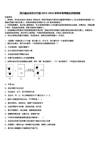 四川省达州市大竹县2023-2024学年中考押题化学预测卷含解析.doc