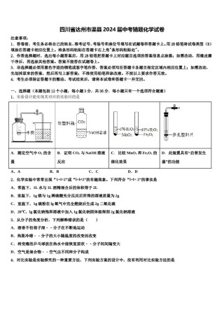 四川省达州市渠县2024届中考猜题化学试卷含解析.doc