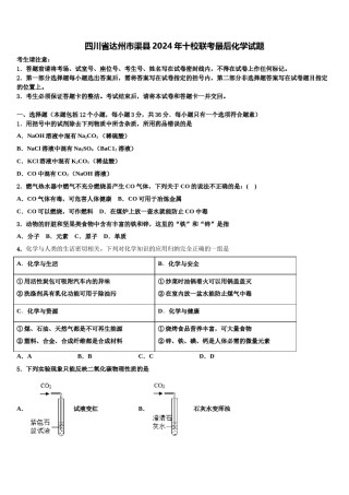 四川省达州市渠县2024年十校联考最后化学试题含解析.doc