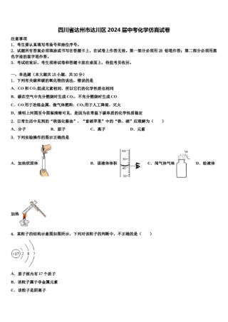 四川省达州市达川区2024届中考化学仿真试卷含解析.doc