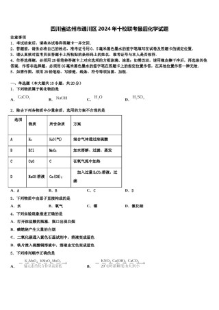 四川省达州市通川区2024年十校联考最后化学试题含解析.doc