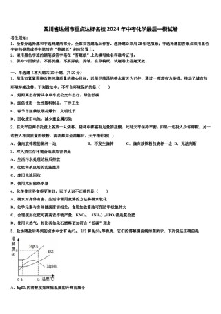 四川省达州市重点达标名校2024年中考化学最后一模试卷含解析.doc