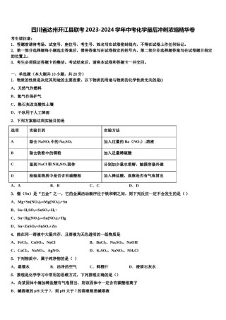 四川省达州开江县联考2023-2024学年中考化学最后冲刺浓缩精华卷含解析.doc