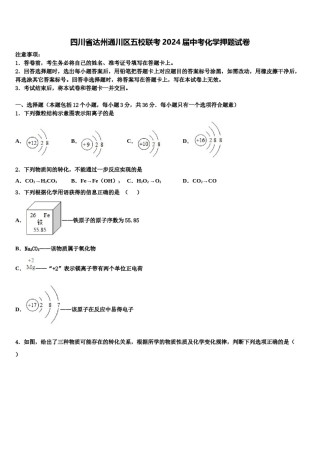 四川省达州通川区五校联考2024届中考化学押题试卷含解析.doc