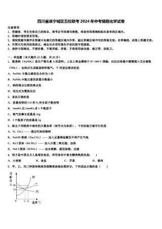 四川省遂宁城区五校联考2024年中考猜题化学试卷含解析.doc
