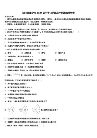四川省遂宁市2024届中考化学最后冲刺浓缩精华卷含解析.doc