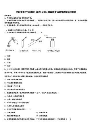 四川省遂宁市安居区2023-2024学年中考化学考试模拟冲刺卷含解析.doc