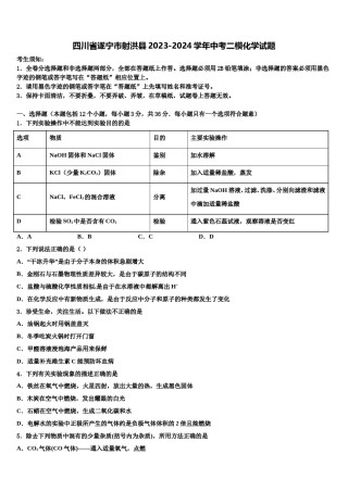 四川省遂宁市射洪县2023-2024学年中考二模化学试题含解析.doc