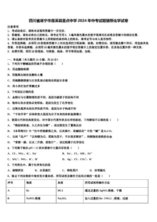四川省遂宁市蓬溪县重点中学2024年中考试题猜想化学试卷含解析.doc
