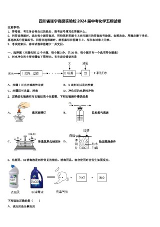 四川省遂宁高级实验校2024届中考化学五模试卷含解析.doc