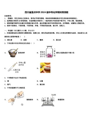 四川省重点中学2024届中考化学模拟预测题含解析.doc