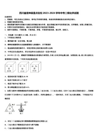 四川省青神县重点名校2023-2024学年中考二模化学试题含解析.doc