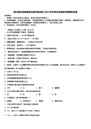 四川省马边彝族自治县市级名校2024年中考化学最后冲刺模拟试卷含解析.doc
