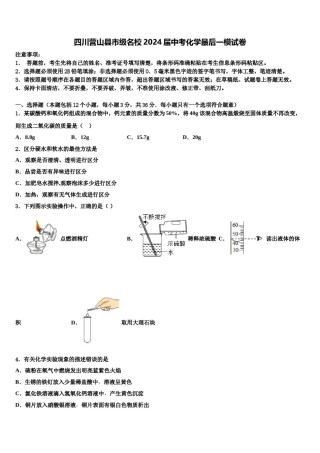 四川营山县市级名校2024届中考化学最后一模试卷含解析.doc