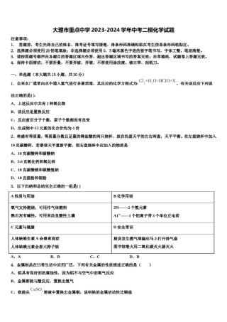 大理市重点中学2023-2024学年中考二模化学试题含解析.doc