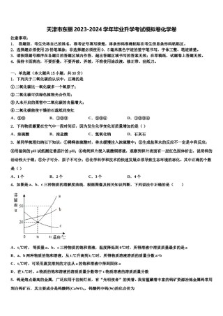 天津市东丽2023-2024学年毕业升学考试模拟卷化学卷含解析.doc